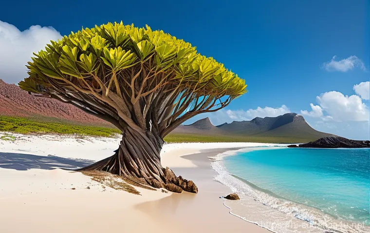 수단 소코타라 섬 - **Prompt 2: Exploring Socotra's Unique Flora**
    "A person, dressed in comfortable, modest hiking ...